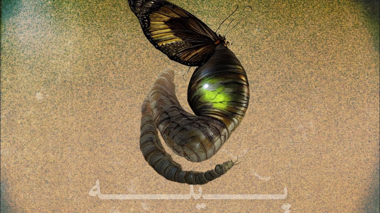 Peele - Amin Big A پیله - امین بیگ ای