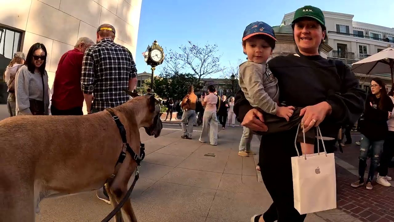 Cash 2.0 Great Dane at the Americana at Brand in Glendale, California 16