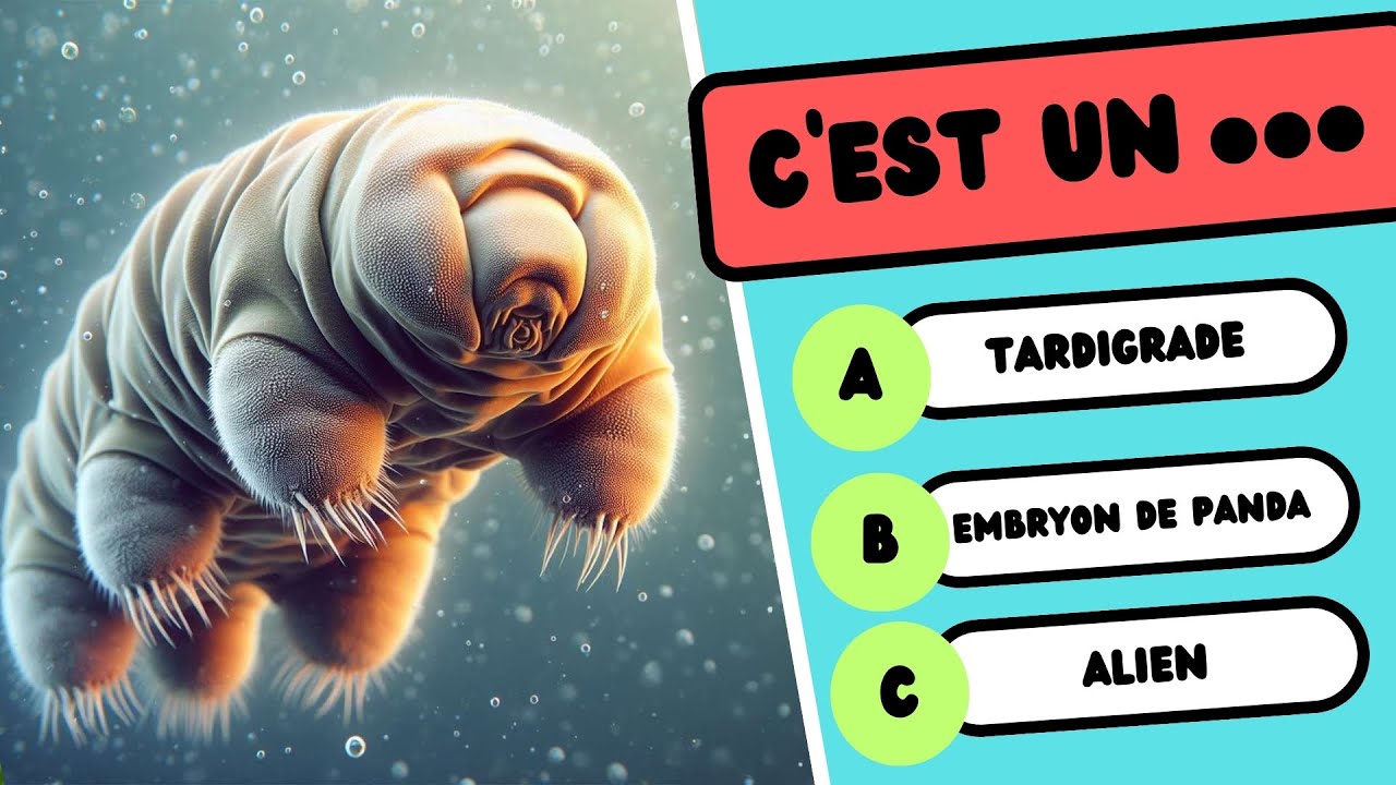 50 QUESTIONS pour TESTER TES CONNAISSANCES sur les ANIMAUX🧠🦝quiz culture générale