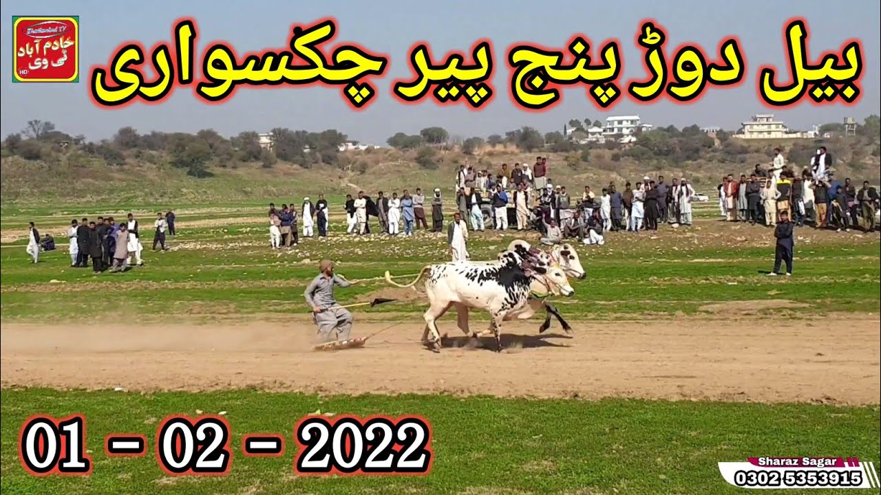 Panj peer mela chakswari  | Bull Race Chakswari  | Azad Kashmir Famous Bull Race | Chakswari |