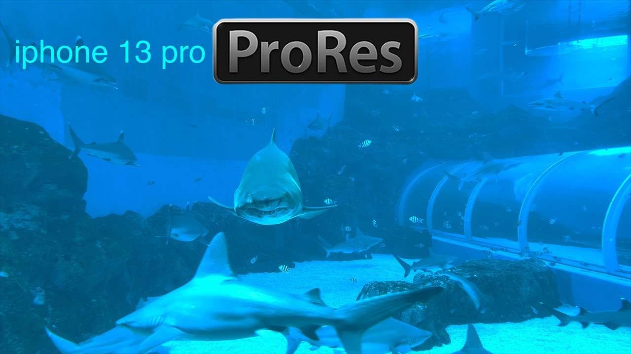 S.E.A Aquarium with iPhone 13 Pro Max ProRes