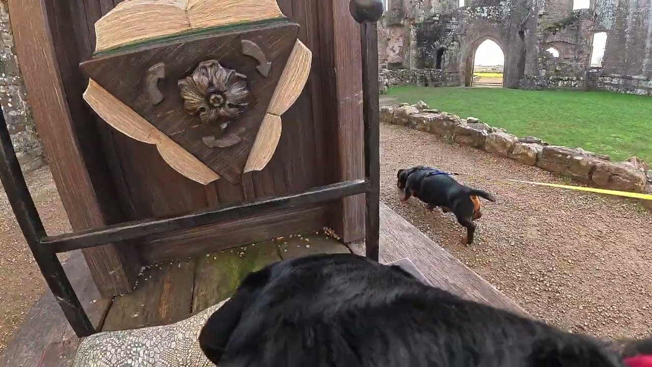 Birt at Raglan Castle. A Furry Look at Medieval Times