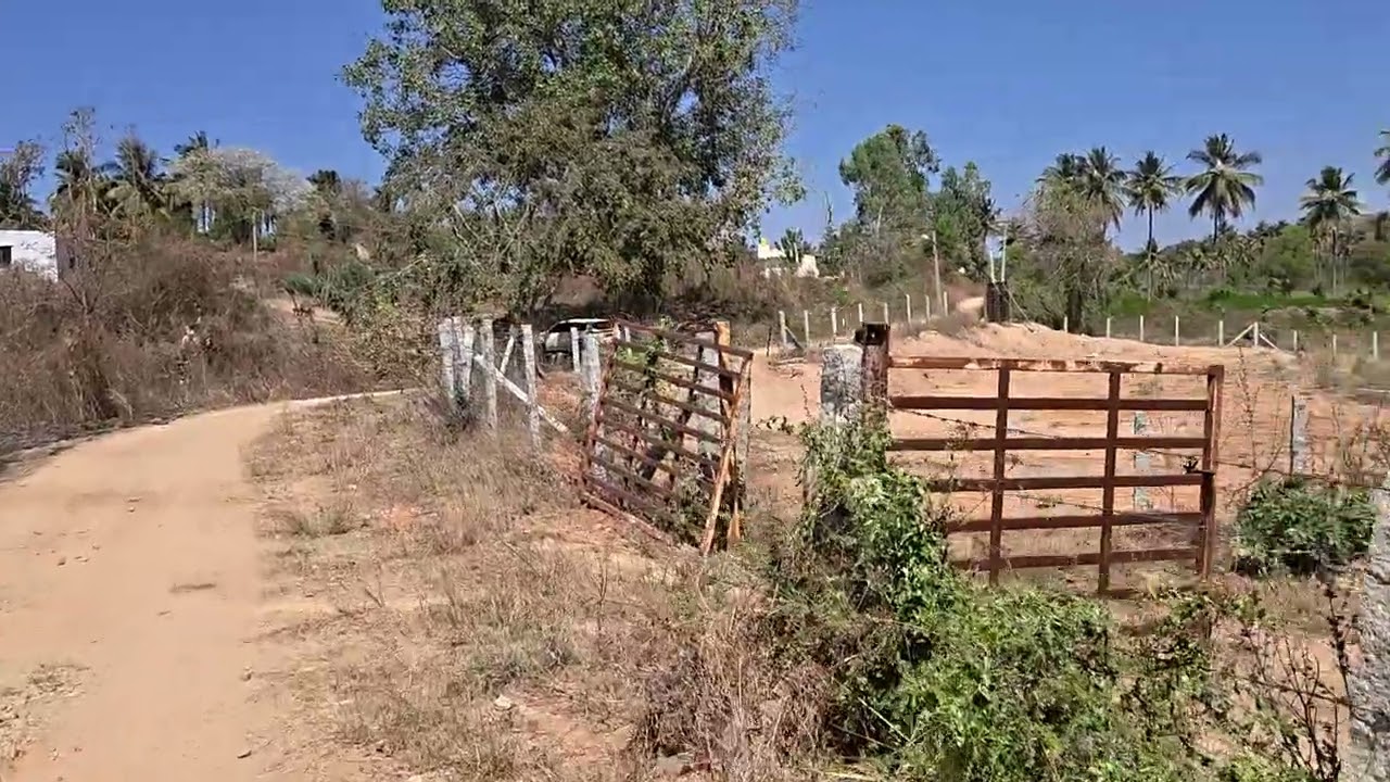 25.5 GUNTAS FOR SALE NEAR BY HAROHALLI CONTACT.... 9686085495