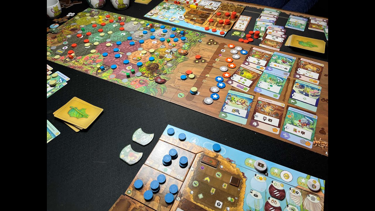 Fourmis : Explication et analyse du jeu