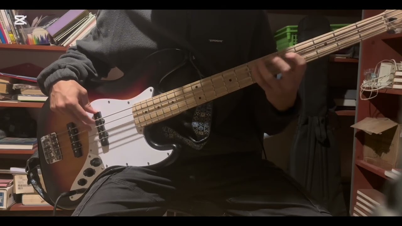 Here Comes The Sun - The Beatles bass cover