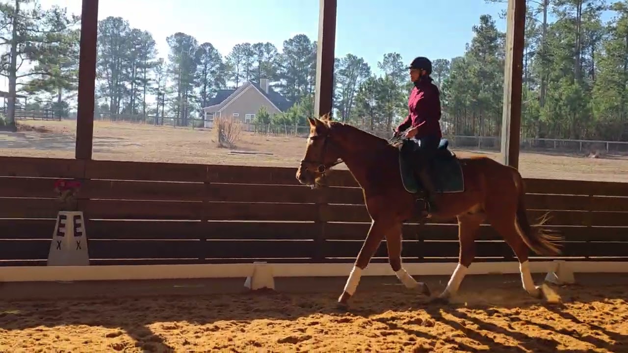Debra Hayes working with Z SecretSenzation
