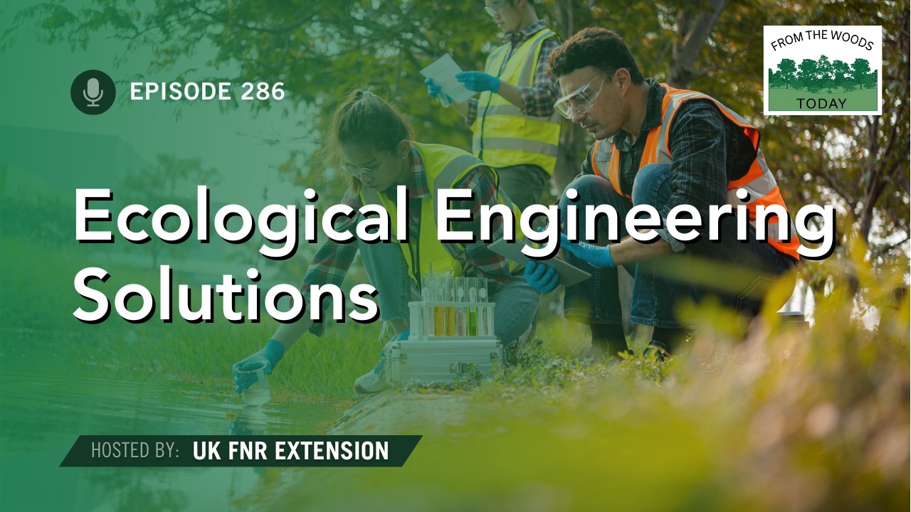 Ecological Engineering Solutions - From the Woods Today - Episode 286
