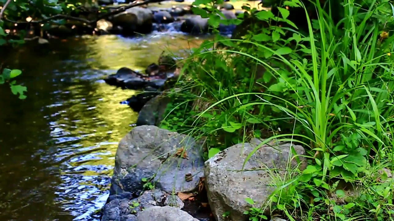 Звуки природы, река в лесу, расслабляющая вода, медитация, сон ...