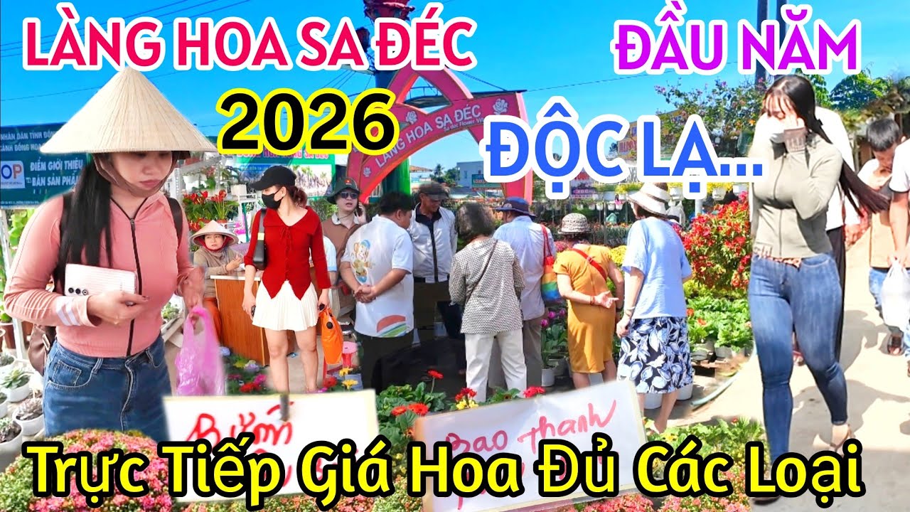 TRỰC TIẾP CẬP NHẬT GIÁ HOA TẾT 2026 LÀNG HOA SA ĐÉC XUẤT HIỆN NHIỀU HOA KIỂNG KỲ LẠ CHƯA TỪNG THẤY