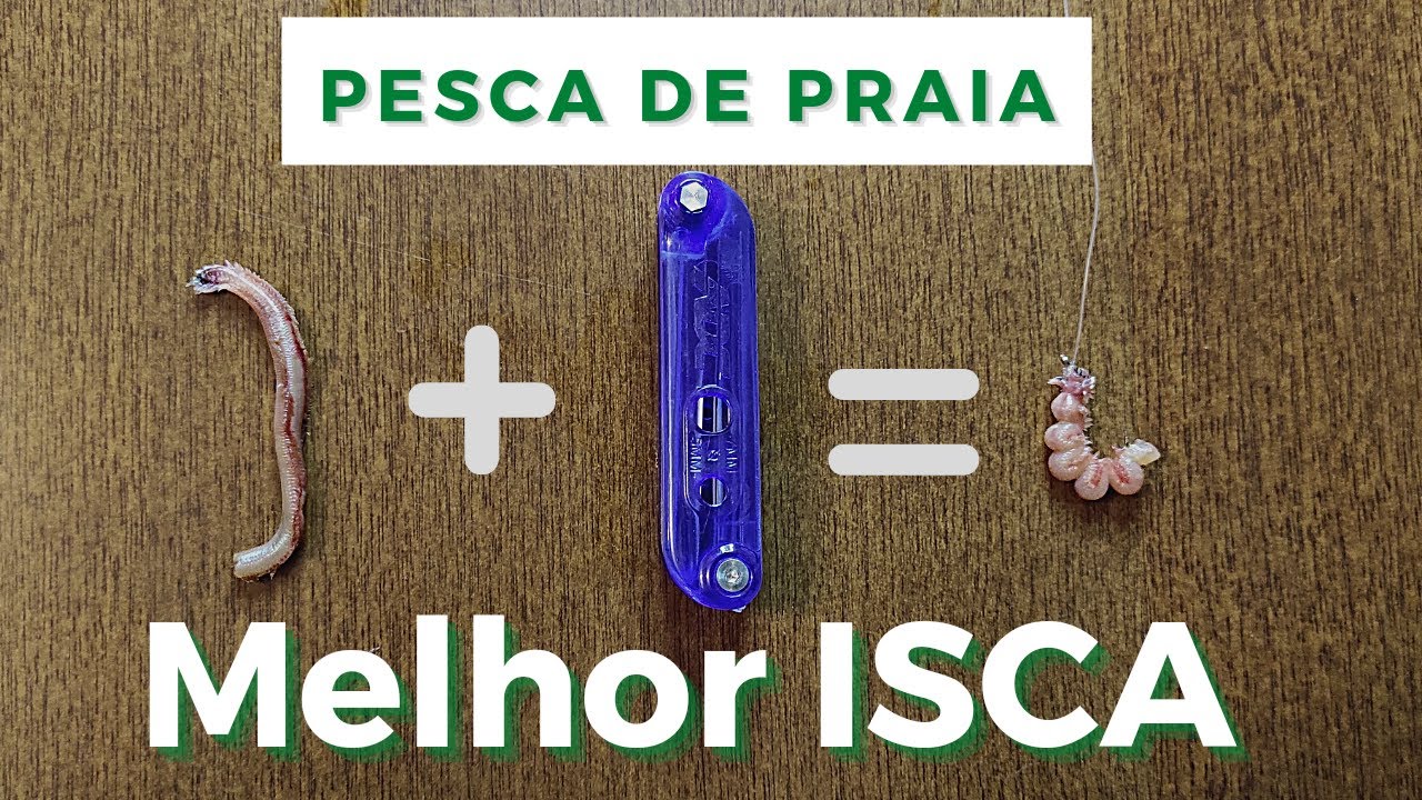 MELHOR ISCA PARA PESCAR NA PRAIA - Como iscar corretamente a minhoca de praia