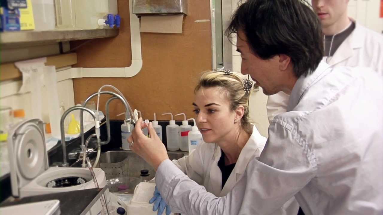 Laboratory Medicine and Pathobiology, Faculty of Medicine, University of Toronto