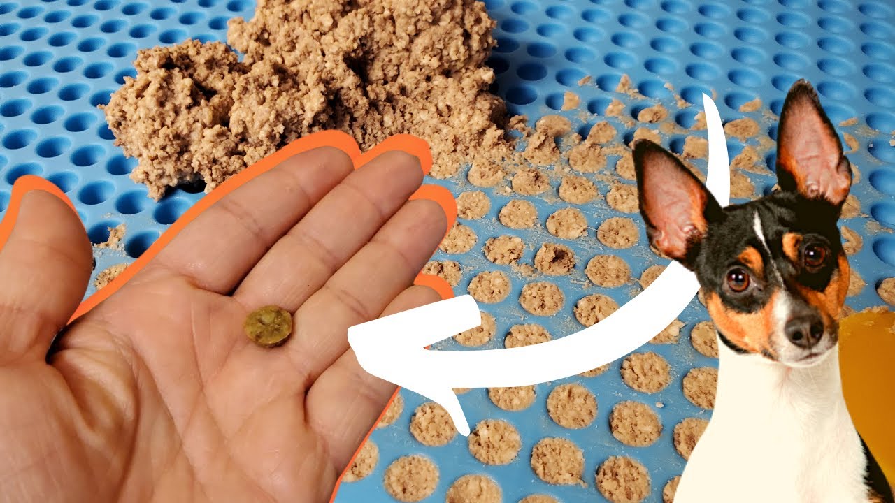 STOP throwing $ AWAY!!  Easy HOMEMADE dog training TREATS!