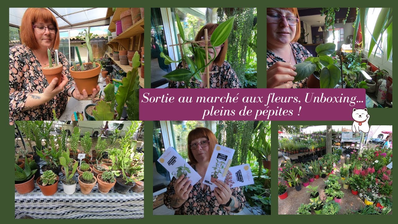🌿Sortie au marché aux fleurs 🌿  Unboxing @plantabox | Pleins de pépites en perspective😉