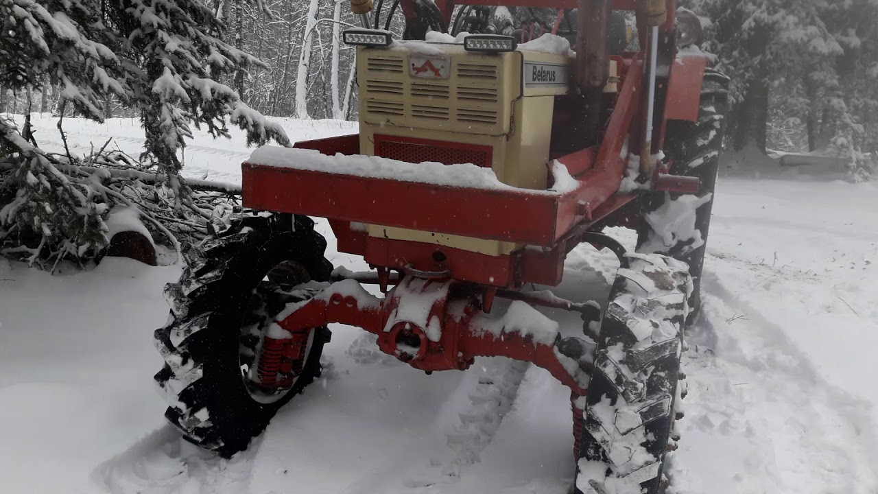 Feeding cows in the snow with the t40a Belarus 420