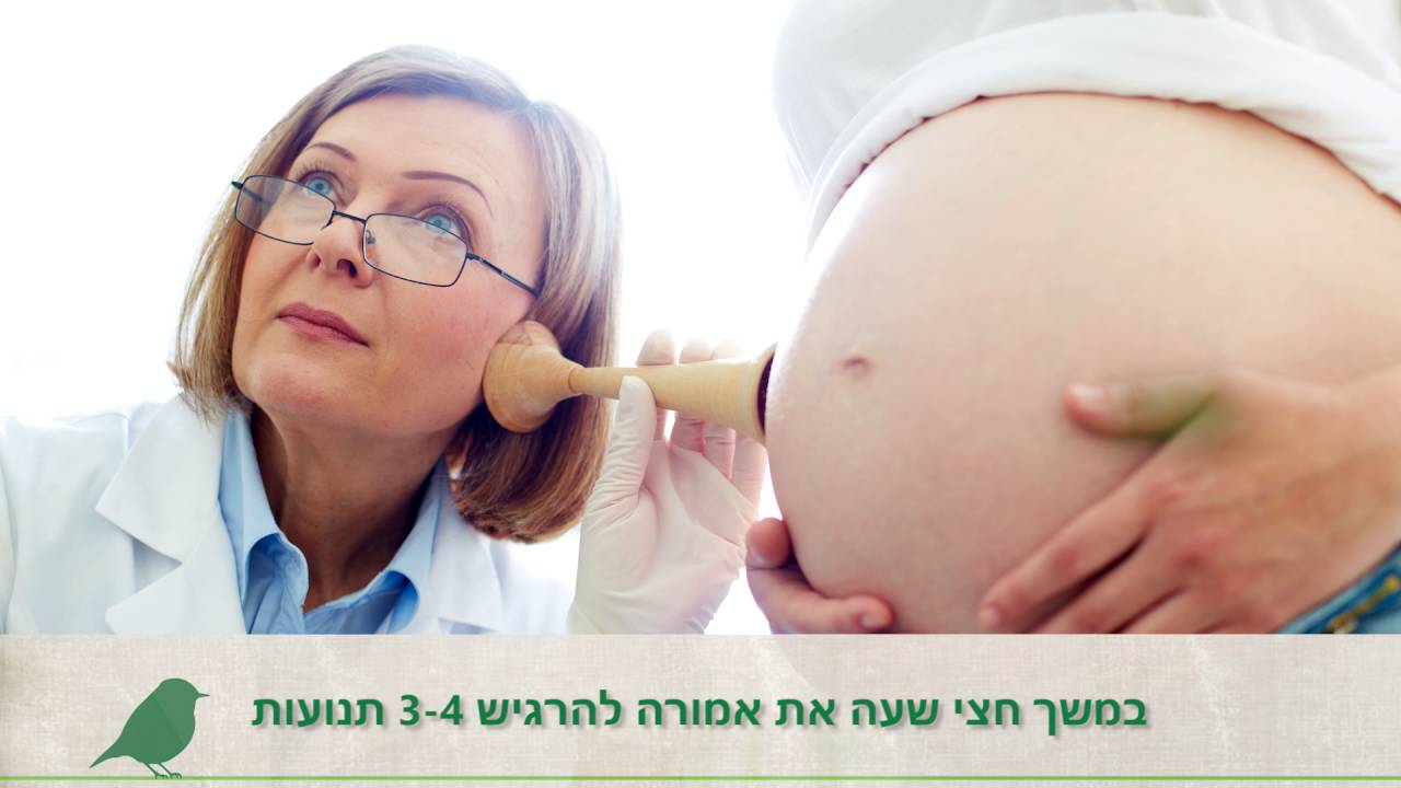 ורד מיילדת - טיפ על תנועות העובר ותחושות בבטן