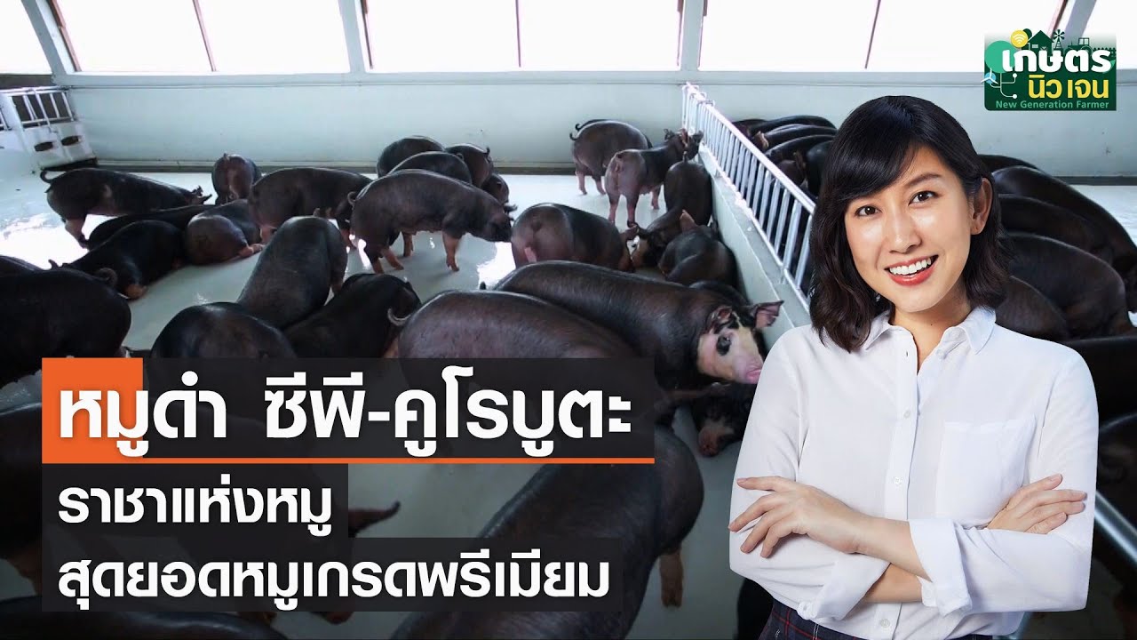 หมูดำ ซีพี-คูโรบูตะ ราชาแห่งหมู สุดยอดหมูเกรดพรีเมียม | เกษตรนิวเจน | 26/02/65 (FULL)
