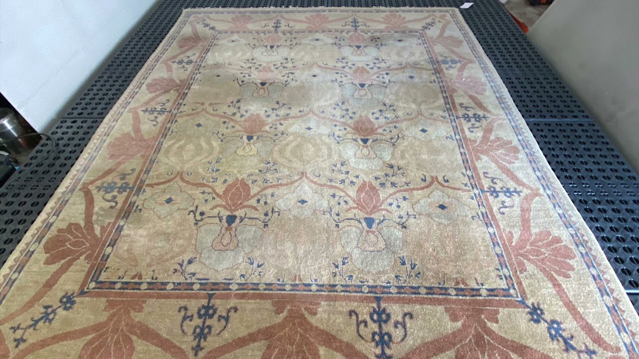 You won't believe how much dog pee is in this Oriental  rug