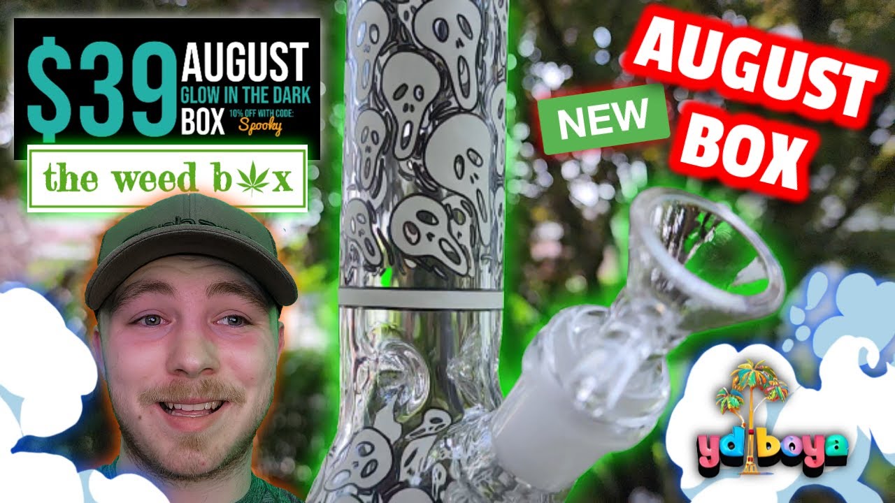 TWB AUGUST BOX | REVIEW