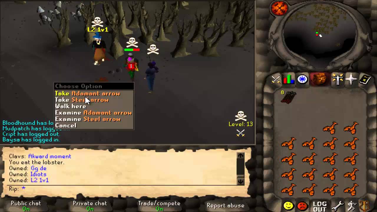 Projectrs06 Pking 3
