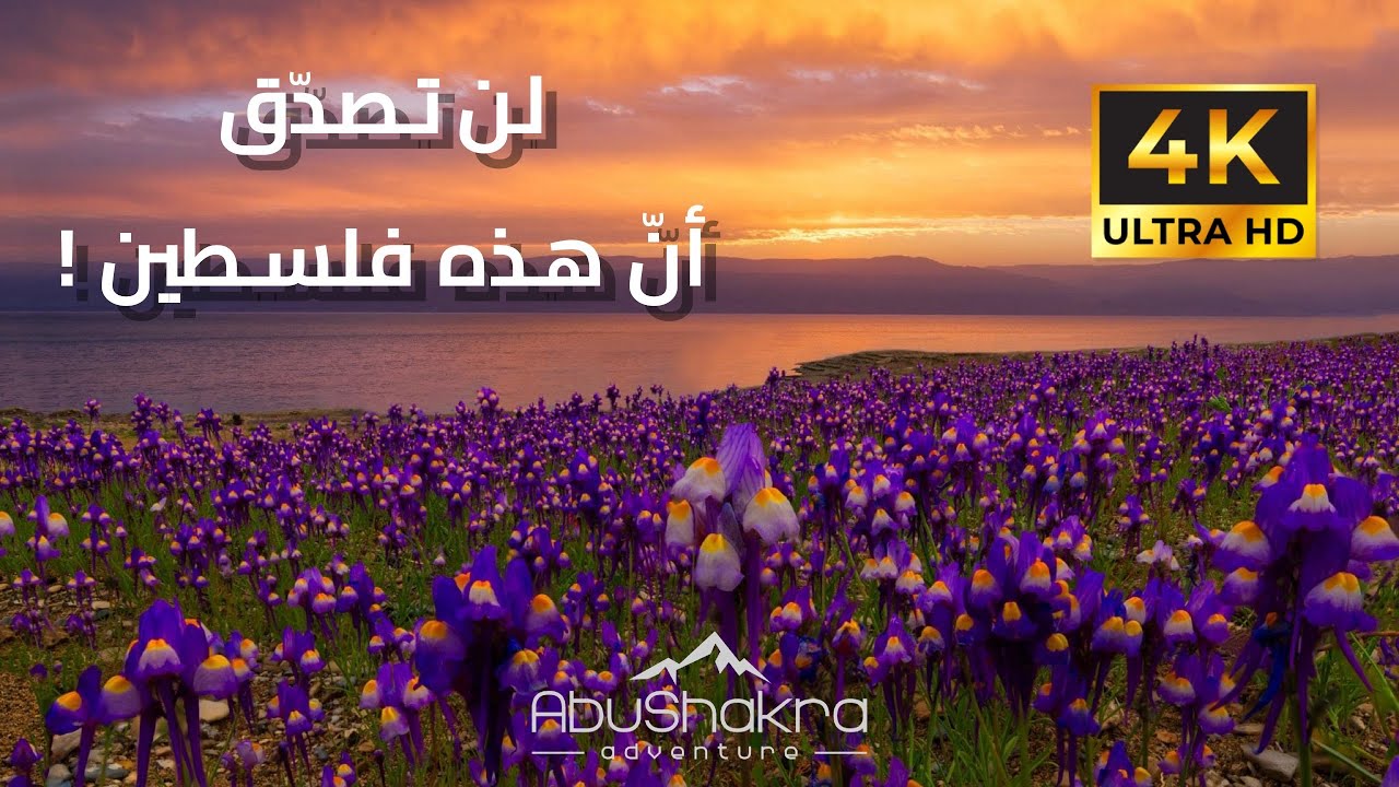 Palestine 4K لن تصدق ان هذه فلسطين