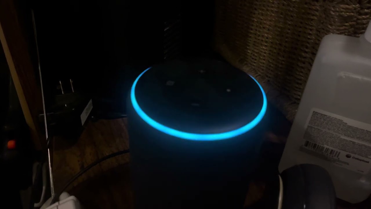 Coffee Bean 100 in Welsh - Alexa whispers some bad words