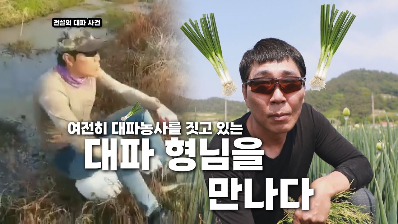 니들이 대파를 알아?! 대파 형님을 만나다