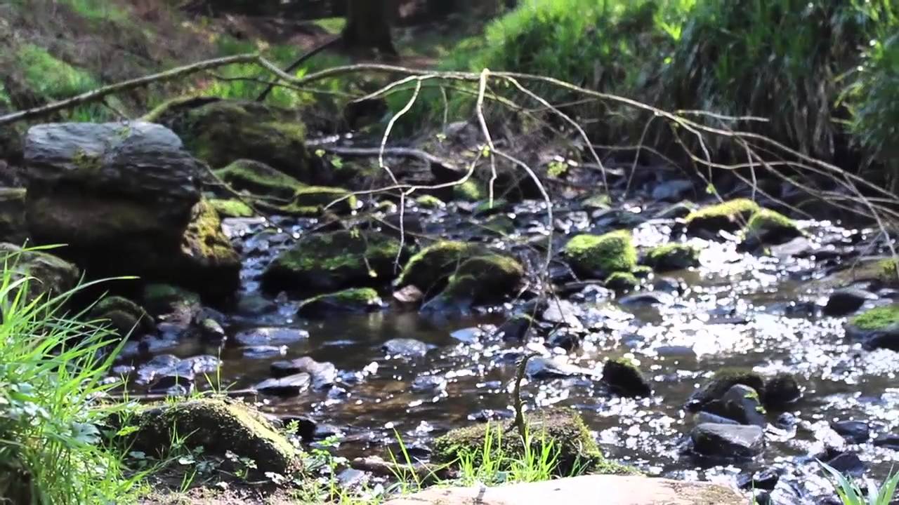 The Unforgettable Dream (Third Music Video)