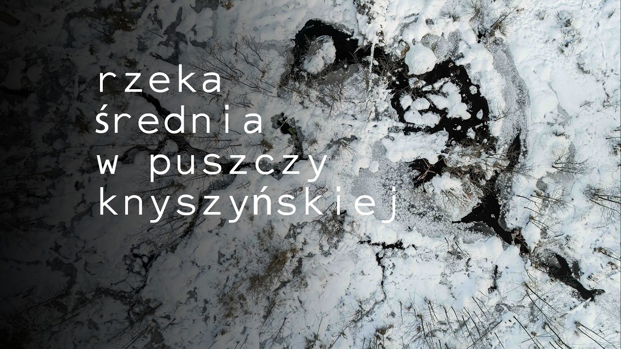 Zimowa rzeka Średnia – Rezerwat Chomontowszczyzna z lotu ptaka | Puszcza Knyszyńska