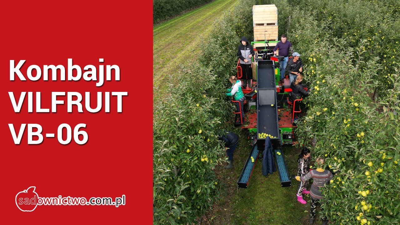 Kombajn do zbioru jabłek - VILFRUIT VB-06 [Bracia Pilaccy]