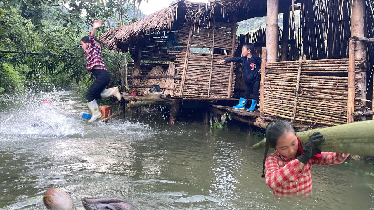 The flood came again... Linda decided to build a new house to protect the boy, harvest mangoes