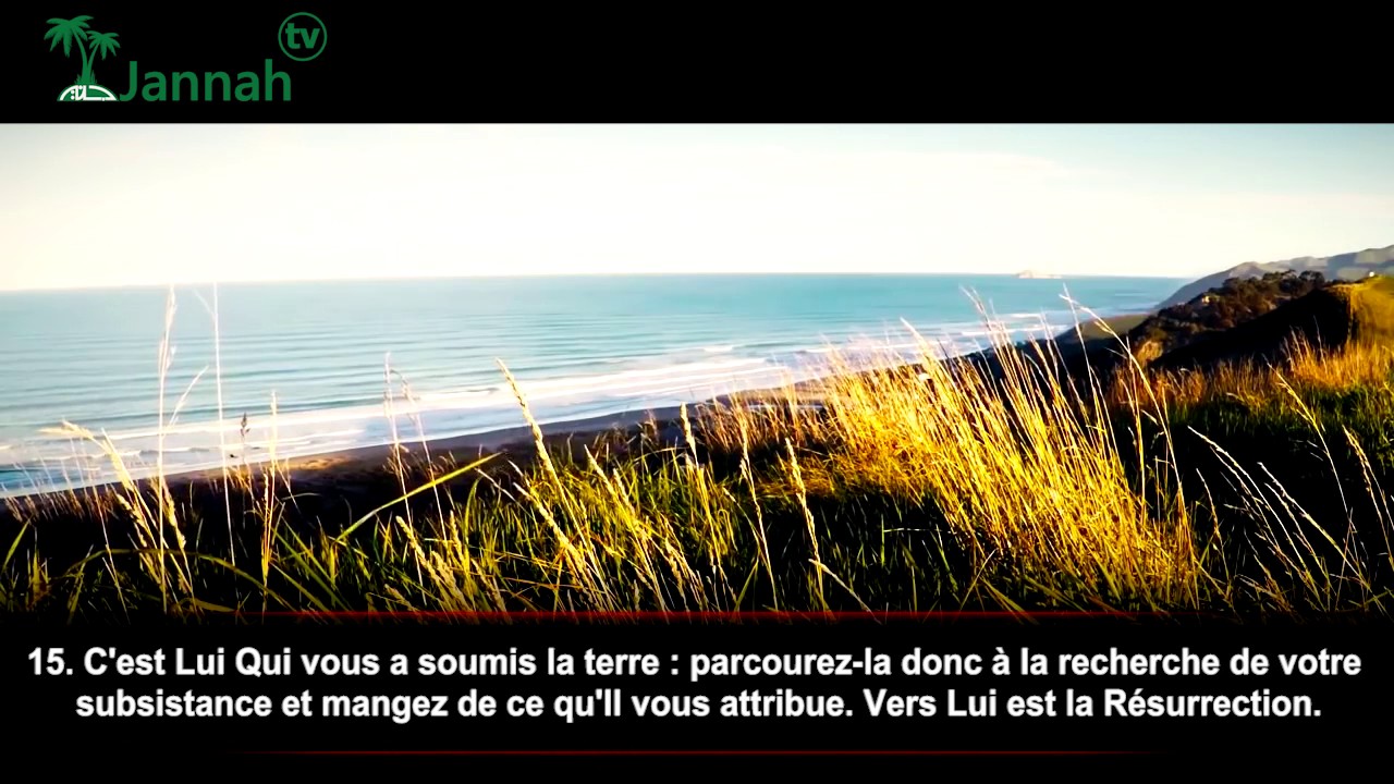 SOURATE AL MULK RÉCITATION APAISANTE