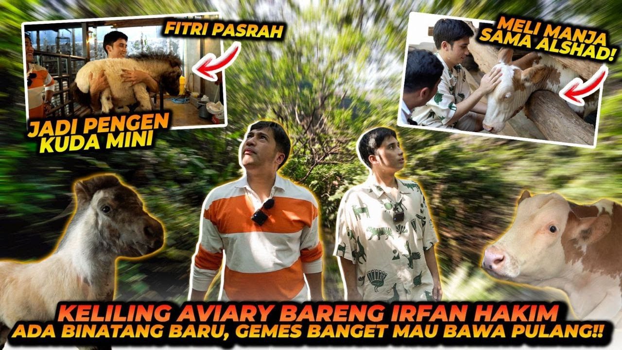 KOLEKSI SATWA2 IRFAN HAKIM ! ADA YANG BARU ?! BURUNG SAMPAI RATUSAN EKOR !