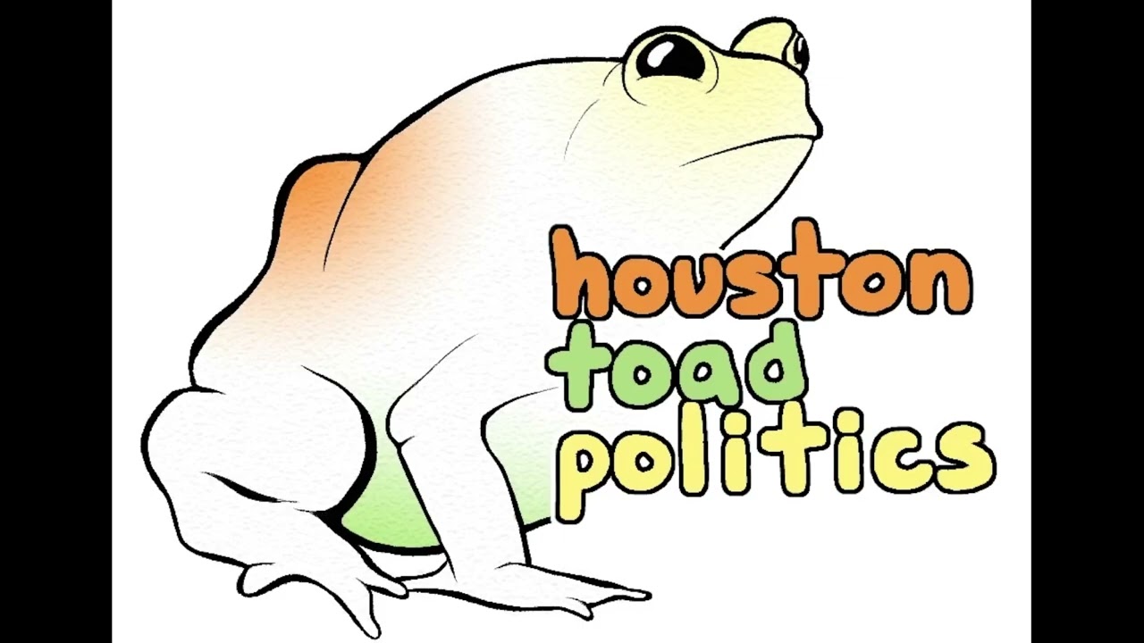 Houston Toad Politics - Episode #1 - A Conversation with Ryan Geddie