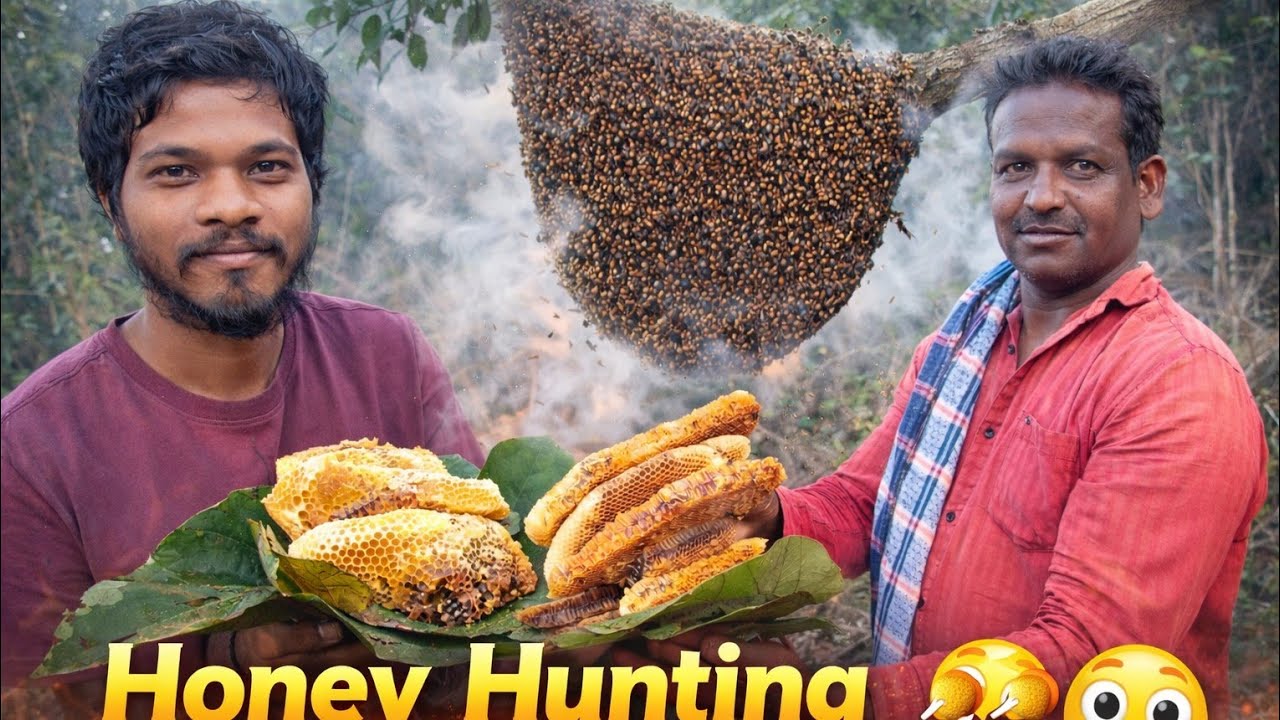 మా ఊరిలో అడవిలో ప్రాణాల రిస్క్ తో తేనె వేట 🍯😱  Real Forest Honey Hunting | Tribal Village Life