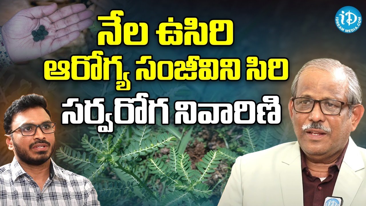 369 రోగాలను తరిమికొట్టే ఈ మొక్క గురించి తెలుసుకోపోతే మీకే నష్టం | Nela Usiri Uses | Dr Balakishan