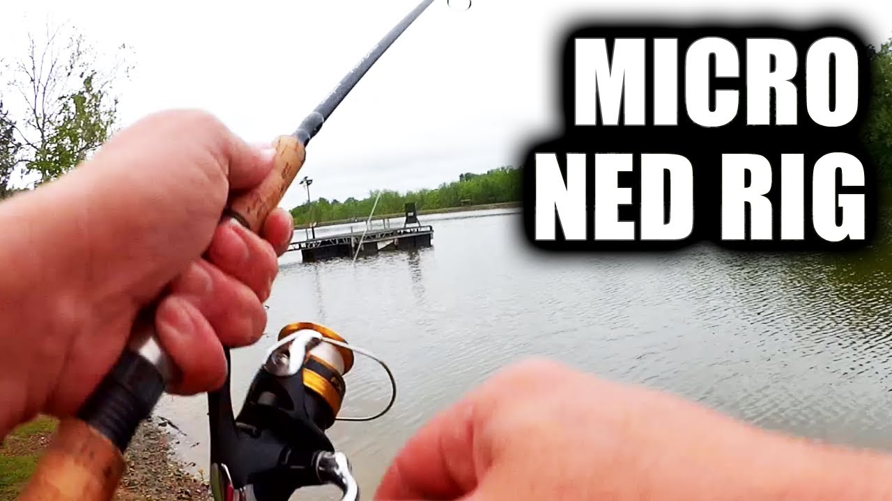 How To Fish a Micro NED RIG for Big Bluegill & Bass (UltraLight)
