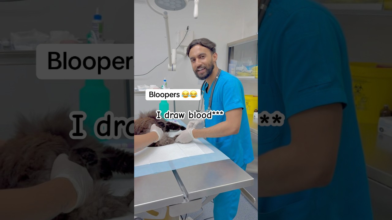 Veterinary bloopers in Clinic