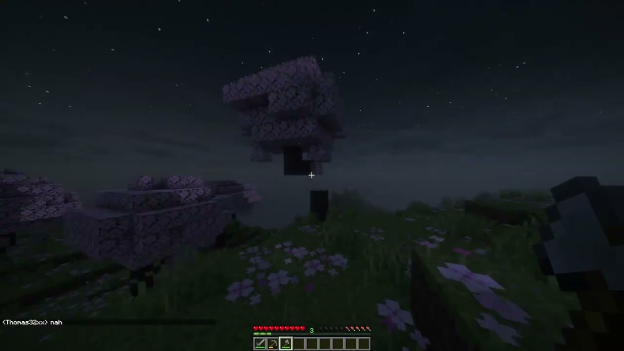 our minecraft world