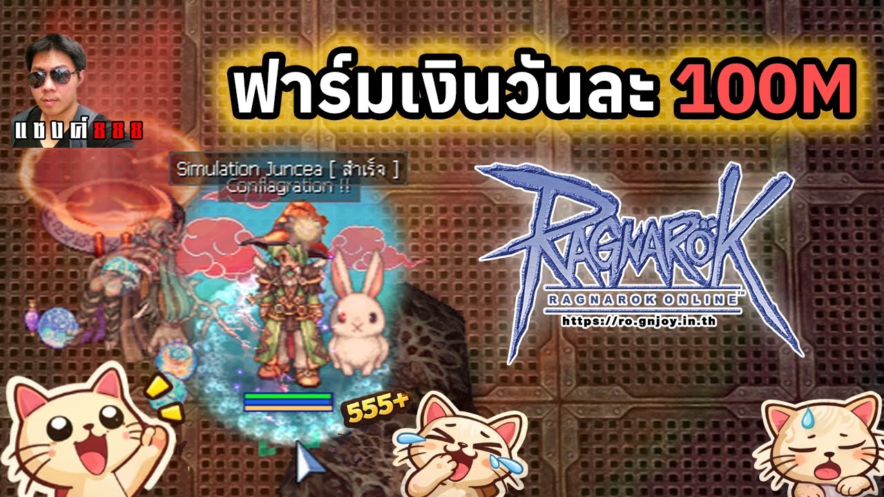 Ragnarok Online พาแมวไปหาหมอเสร็จแล้ว กลับมาฟาร์มหาตังกันต่อ 100M ให้ได้ด้วยเถิด