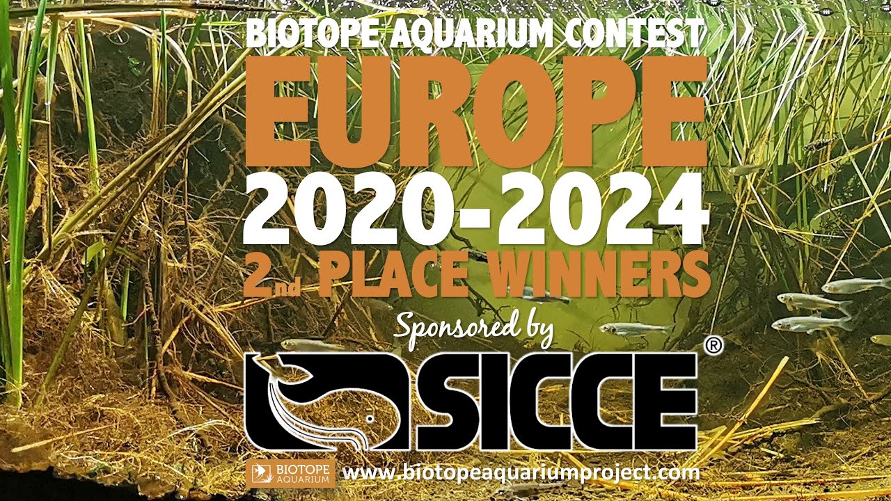 BAC2020-2023 2nd place winners in the category #EUROPE sponsored by  @SICCEgroup