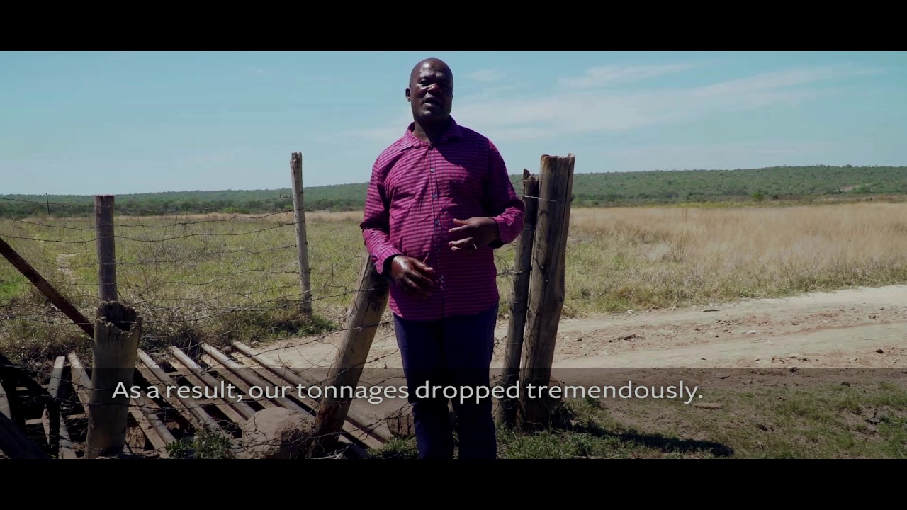 South Africa sugarcane survives severe droughts due to better water management