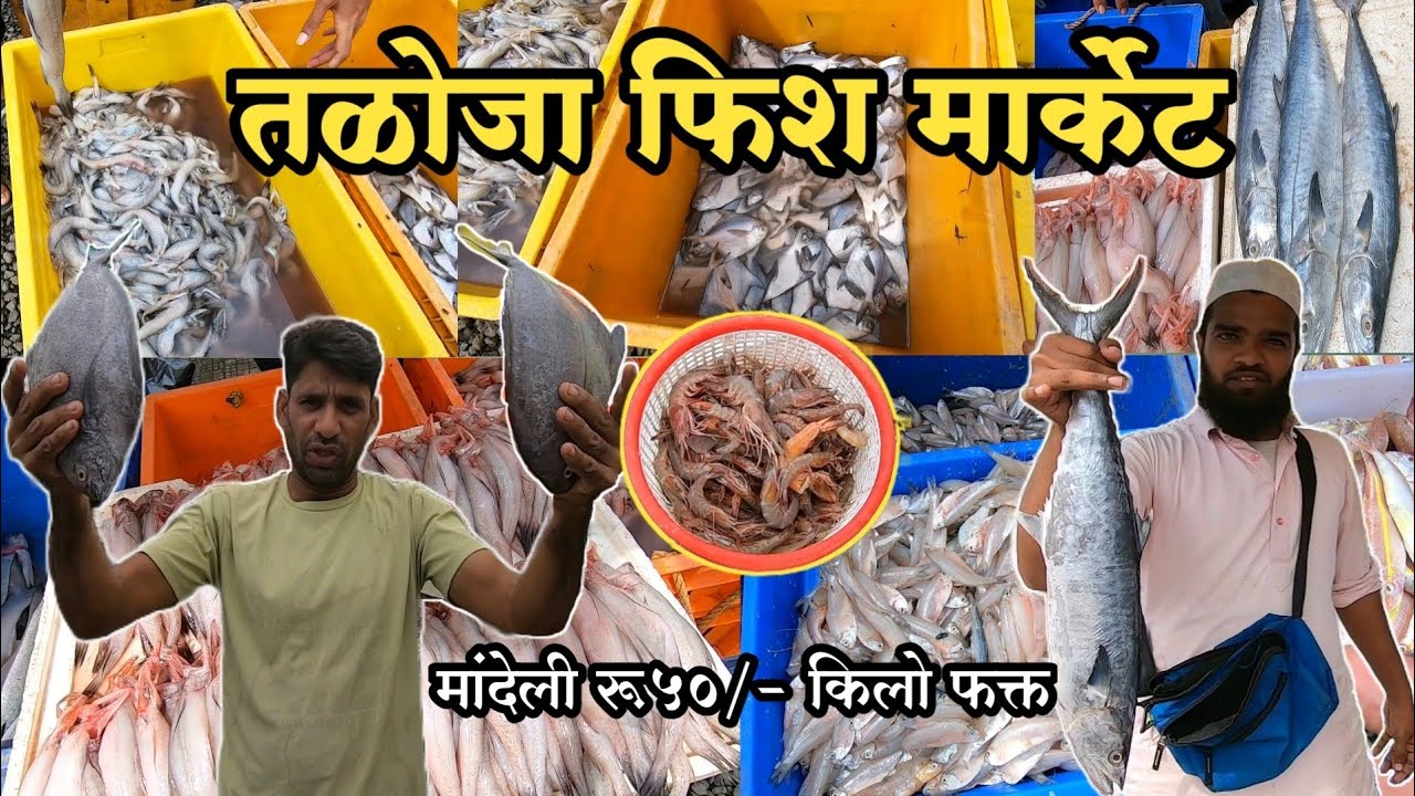 सर्वात स्वस्त नवी मुंबईतील तळोजा फिश मार्केट | Wholesale Taloja Fish Market Navi Mumbai