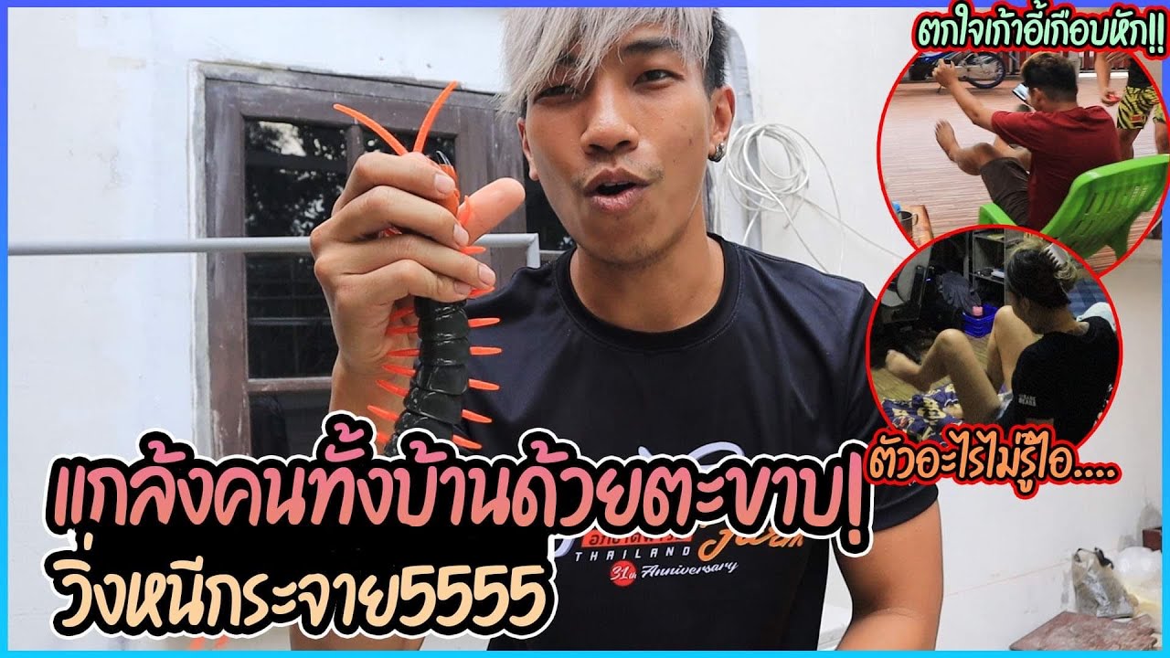 แกล้งตะขาบบังคับบุกบ้าน งานนี้มีวิ่งรอบบ้านกันละครับ