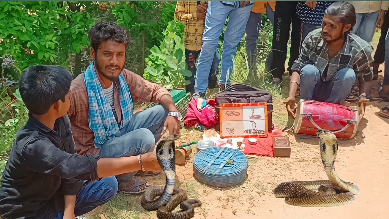 🐍Indian/village/snake 🐍magic #funny 😅 #snake_magic 🪄 ....#roadside snake magic performance ✨