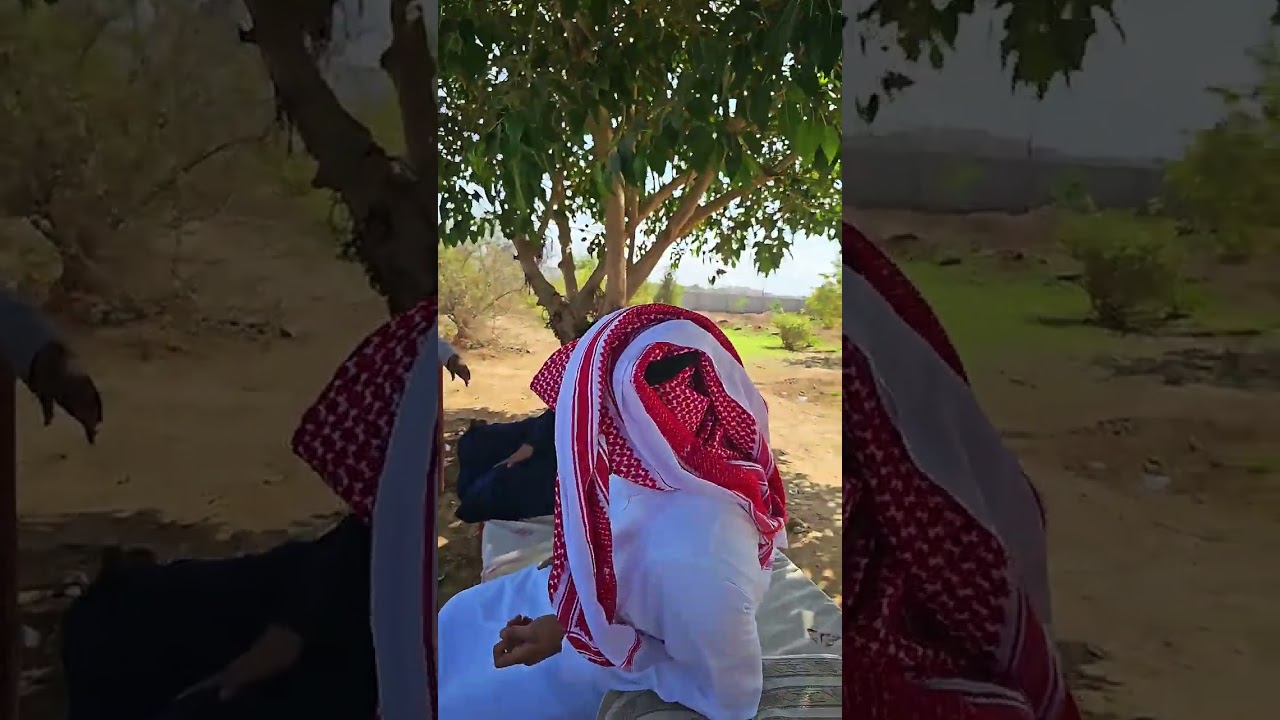قصة الأصمعي مع الأعرابي قصيدة النو #شعر #قصص #الأصمعي #قصايد #شعراء #جازان #صباح_الخير  #يوميات 