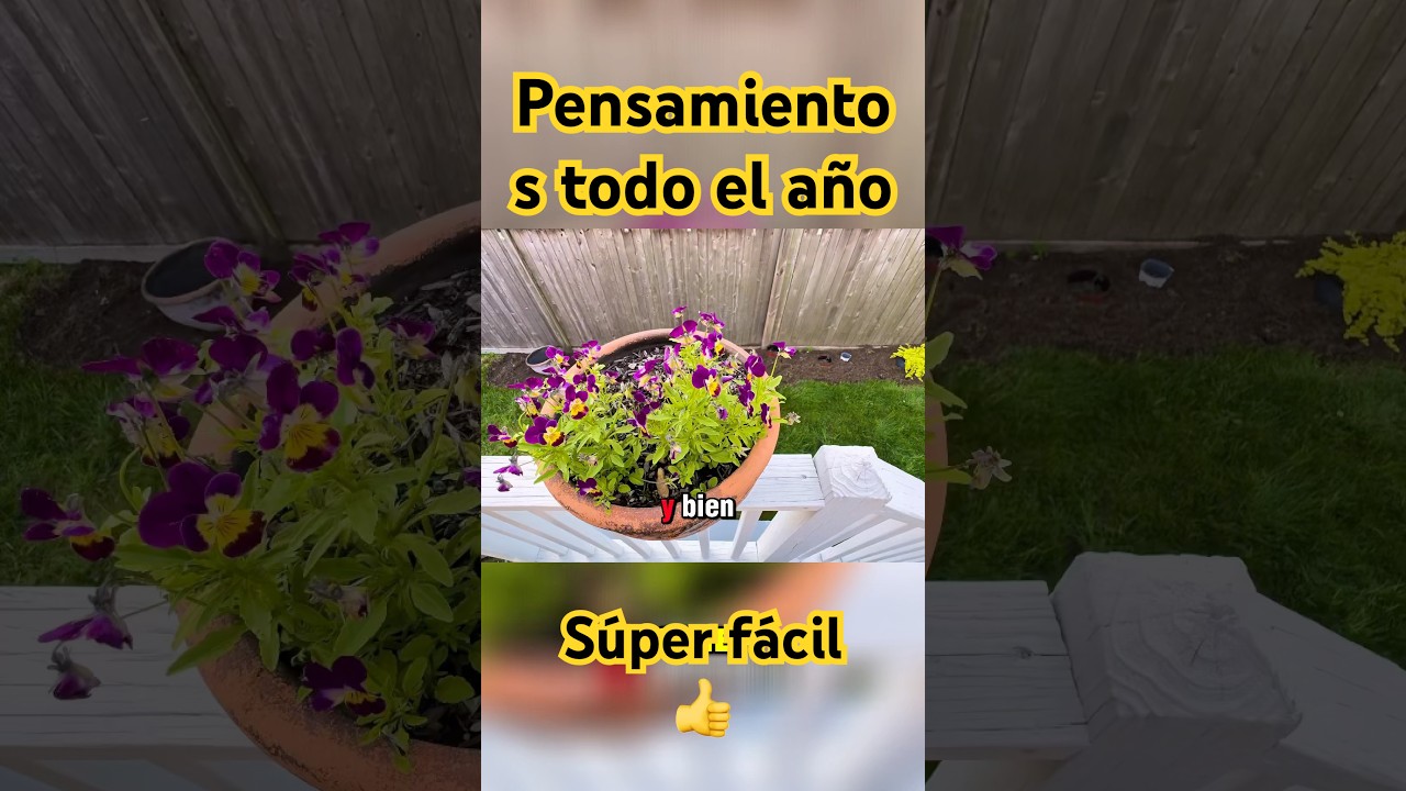 C&oacute;mo Invernar Plantas y Disfrutar de Flores Todo el a&ntilde;o