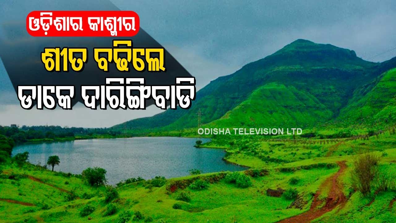Special Story | Tourists Flock Daringbadi To Enjoy Breathtaking Scenic Beauty | Will You TOO