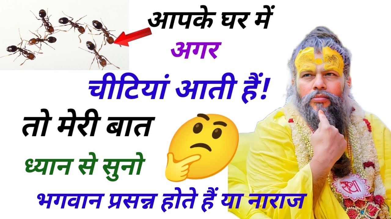 चीटियां अगर आपके घर में आती है ! तो मेरी ये बात ध्यान से सुन लो | Premanand Ji Maharaj |Premanand Ji
