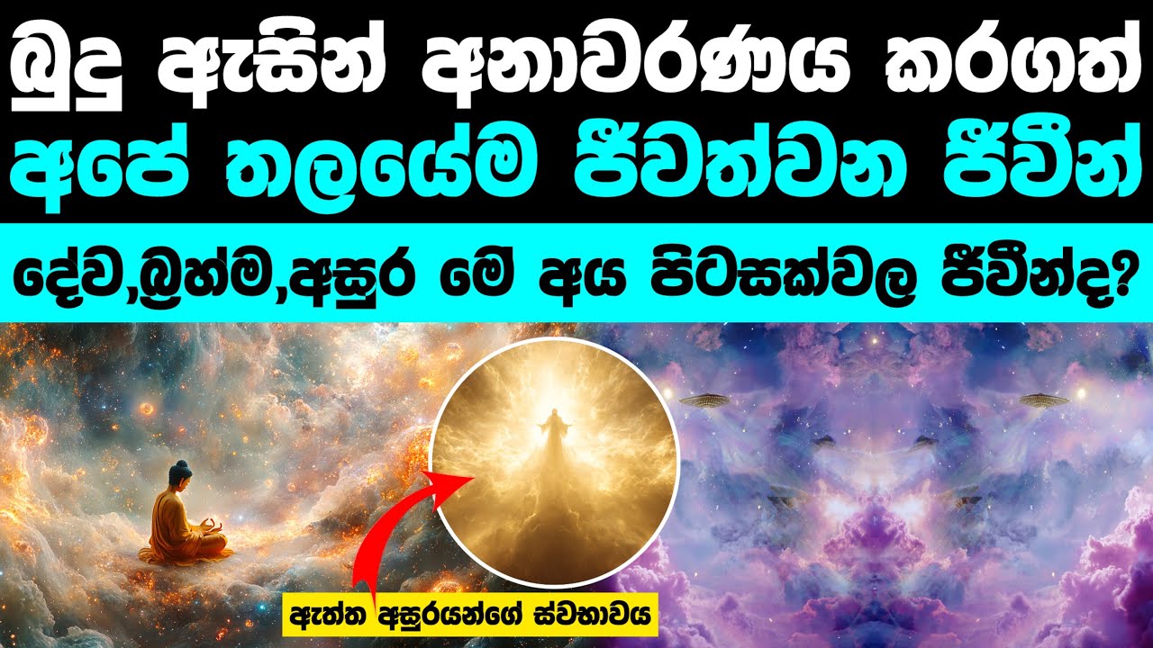 බුදු ඇසින් දුටු පිටසක්වල ජීවීන් | What Does Buddhism Say About Aliens?