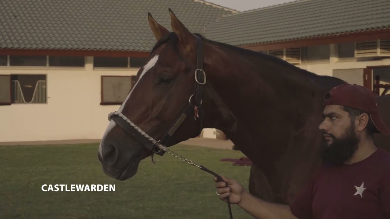 Bhupat Seemar on Laurel River and Some New Stable Stars!